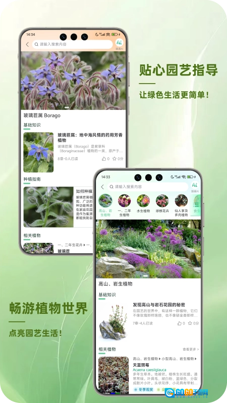 踏遍景观植物词典通用版图1