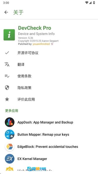 DevCheckPro专业版图4