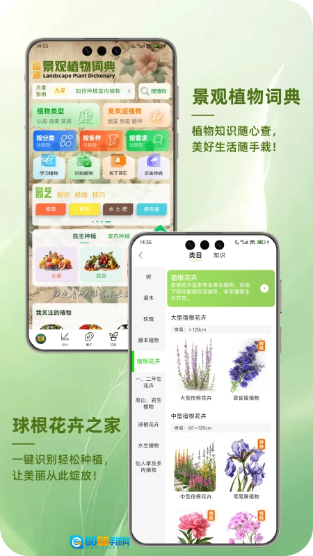 踏遍景观植物词典通用版图5