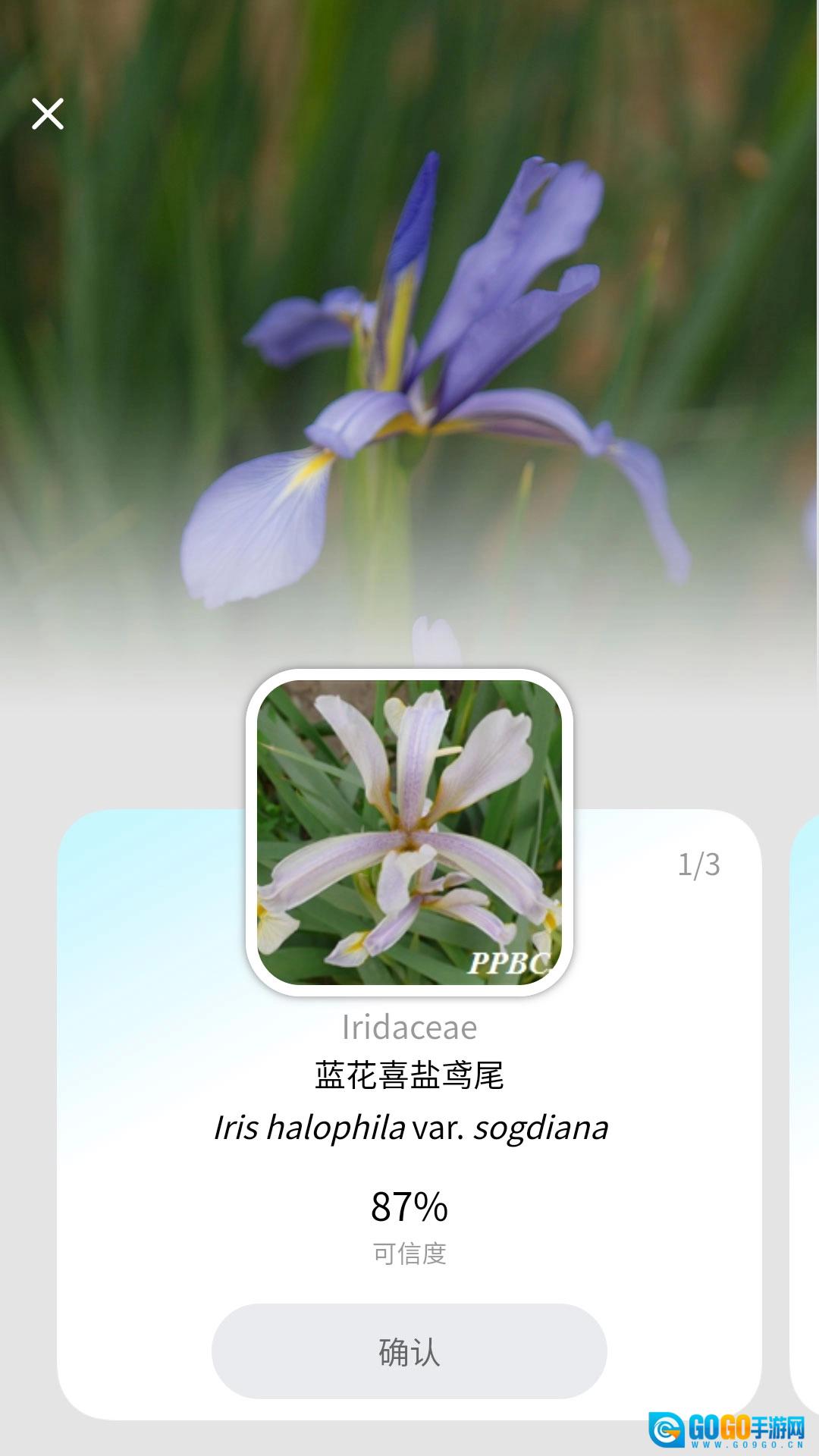 植物智正版图2