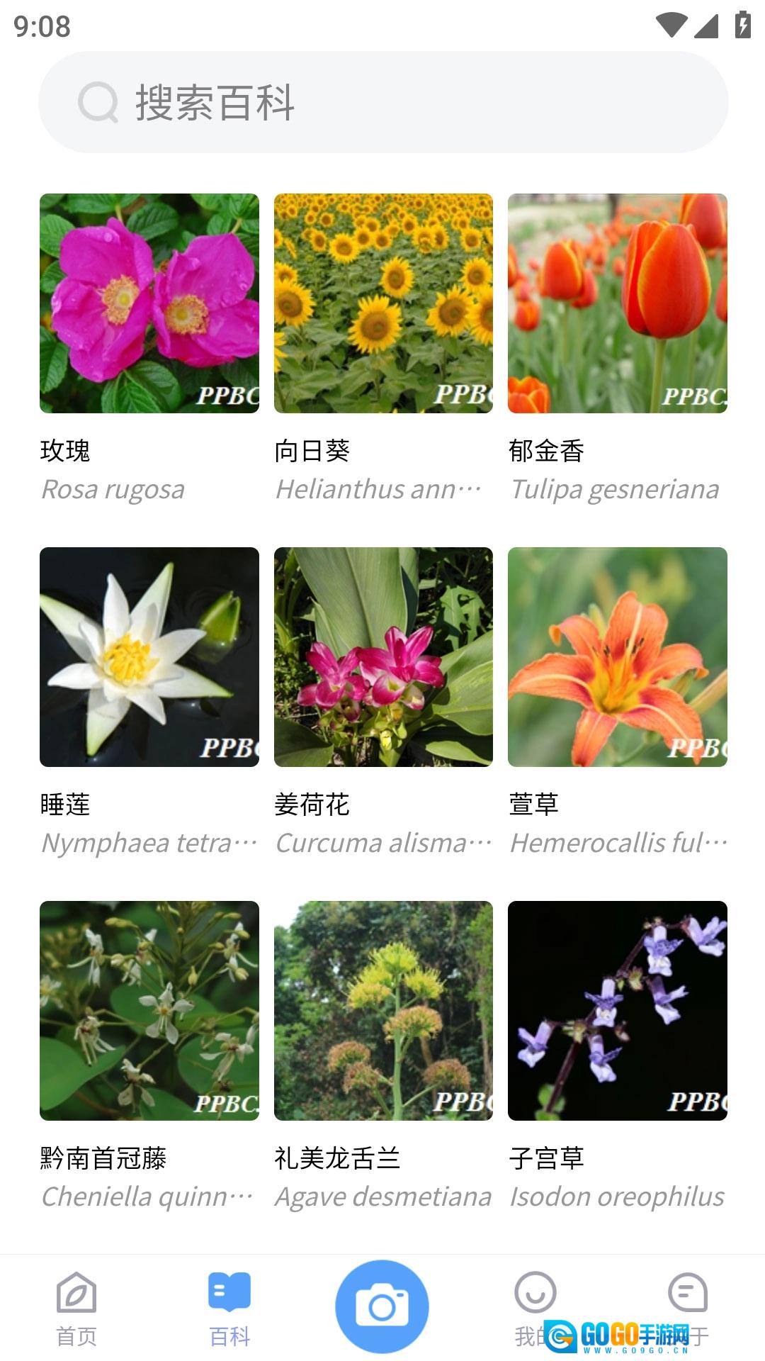 植物智正版图3