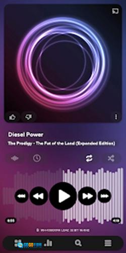 poweramp车机版图4