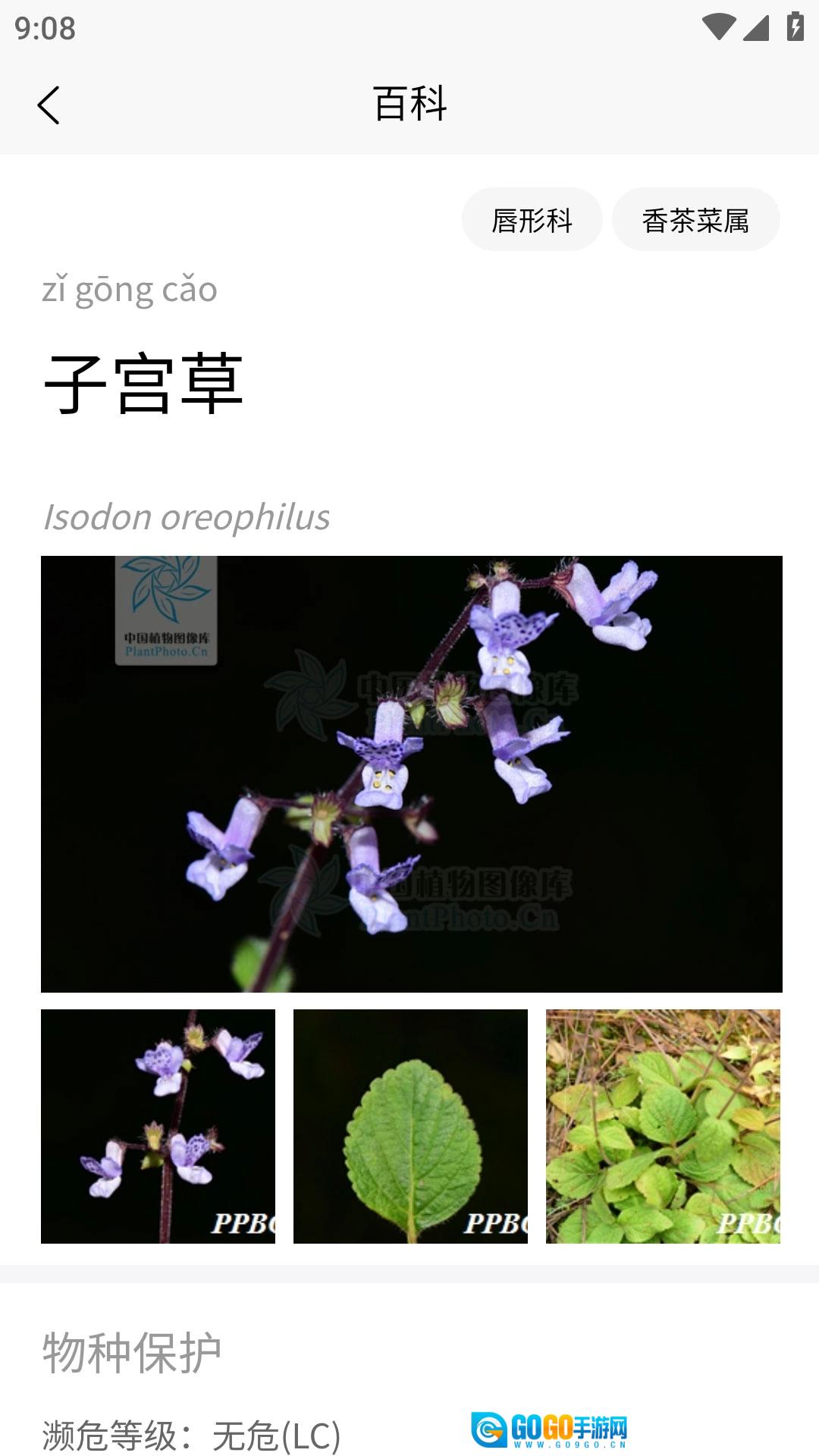 植物智正版图1
