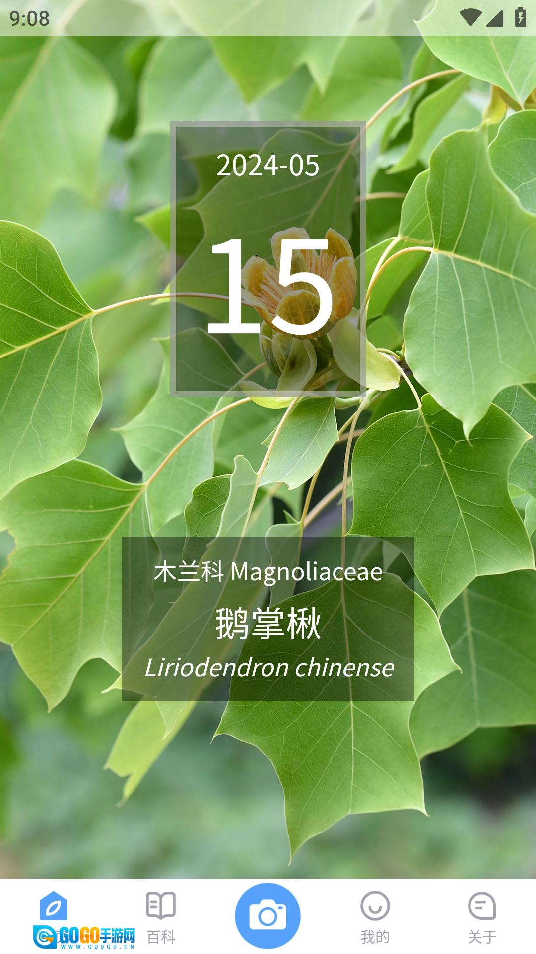 植物智正版图4