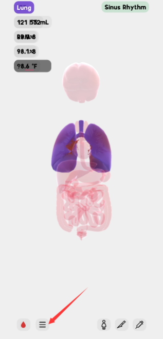 life生命模拟器(3)