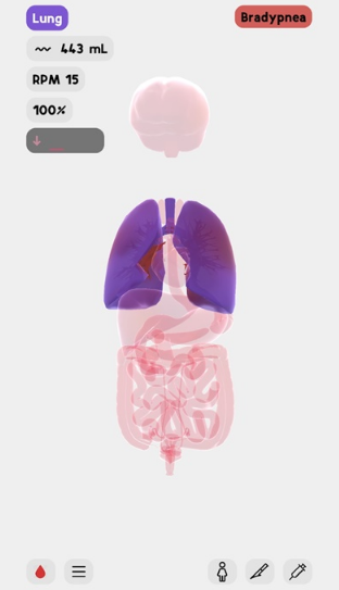 life生命模拟器(1)
