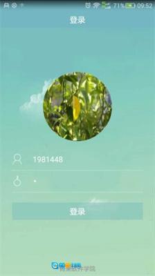 喜鹊儿307版图1