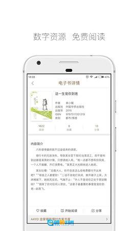 跳蚤云图图4