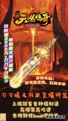 天丛传奇游戏安装包图2