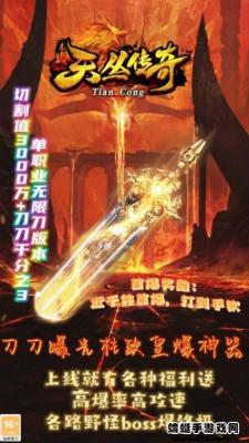天丛传奇游戏安装包图3