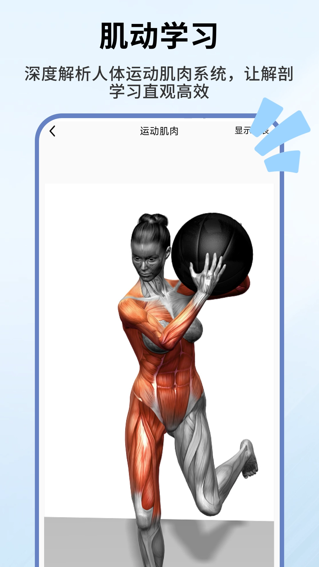 人体解剖学图谱正版图3