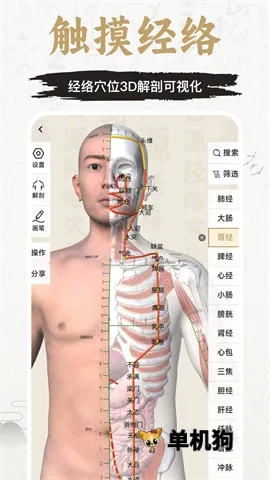 知源经络穴位(中医学习平台)免费原版图5