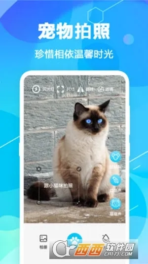 猫语翻译pet官方正版图3