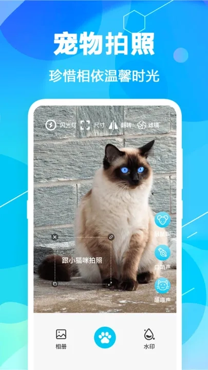 猫语翻译pet官方正版图5