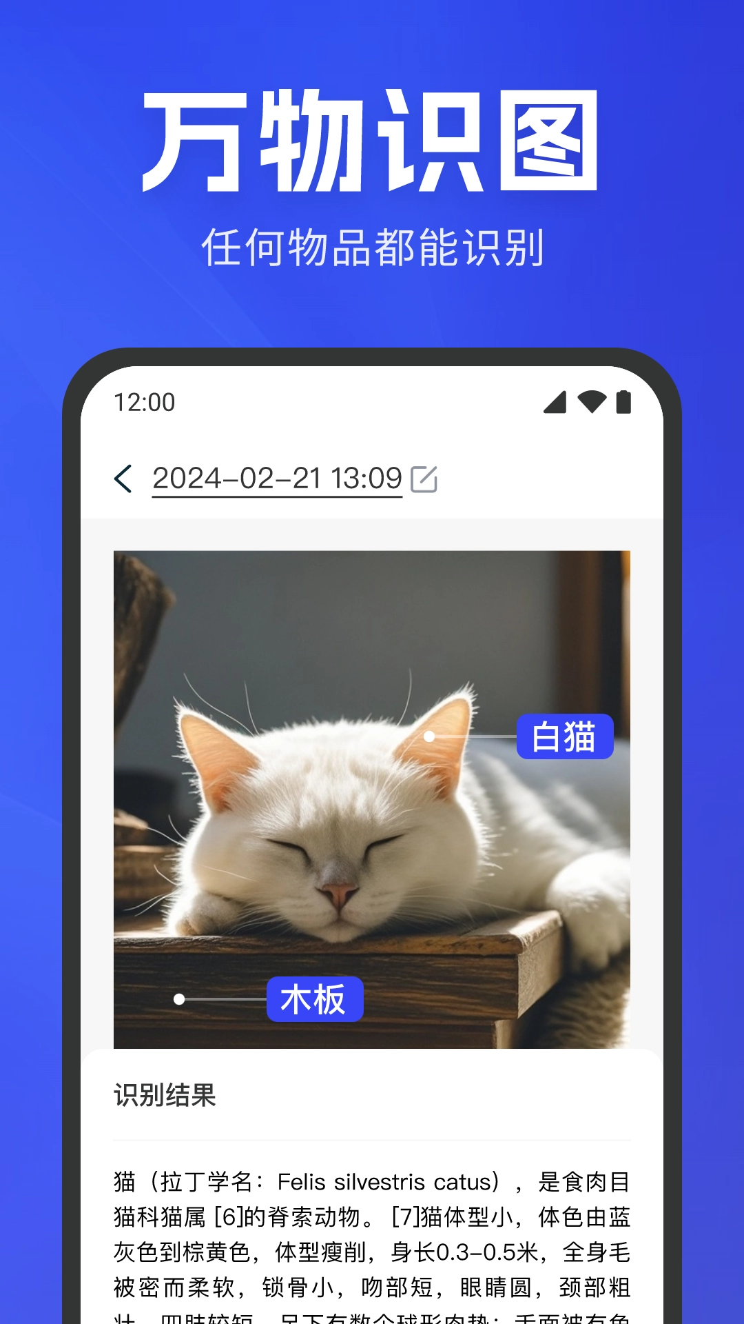 扫描识别无广告版图3