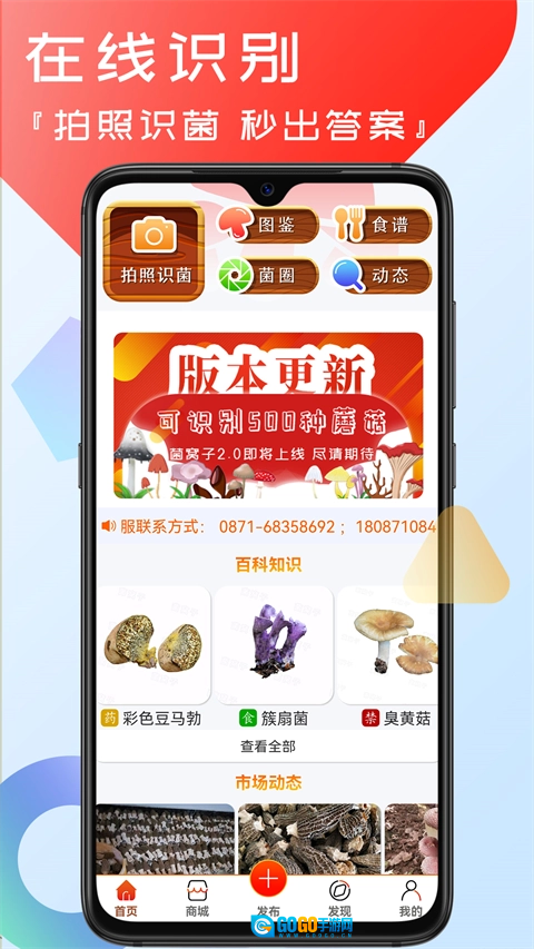 菌窝子直装版图4