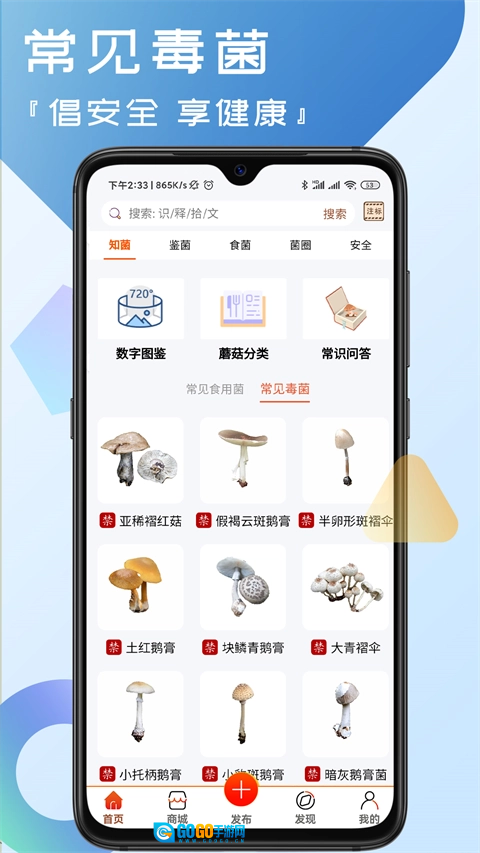 菌窝子直装版图1