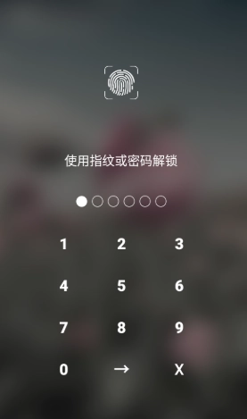 椰果便签官方版图2