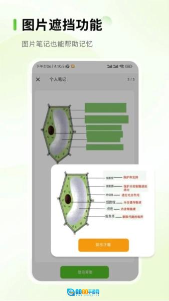Anymo免费原版图1