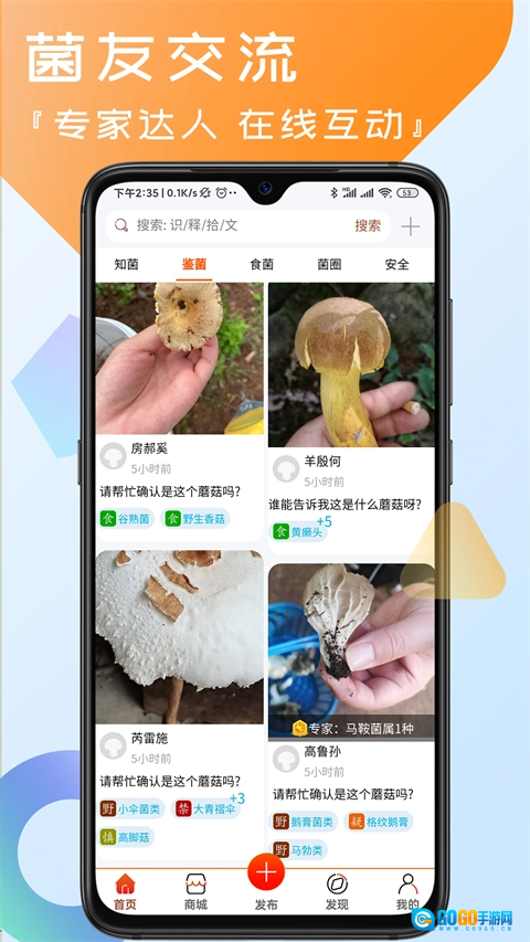 菌窝子直装版图3