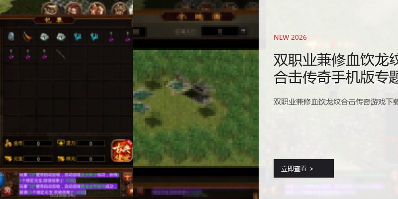 双职业兼修血饮龙纹合击传奇手机版专题页