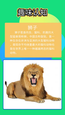 全民找不同儿童版图2