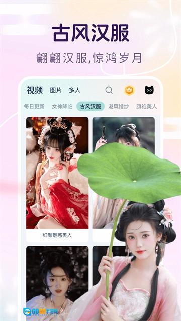 脸猫原版图3