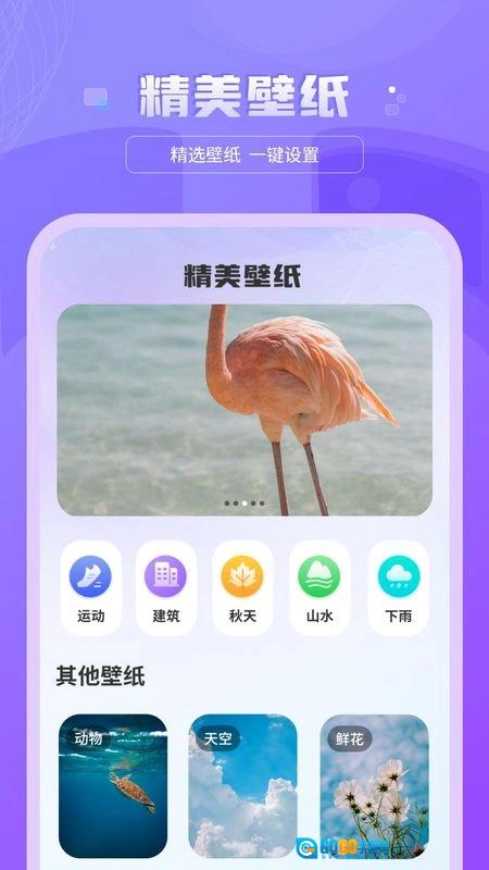 换壁纸最新免费版图2
