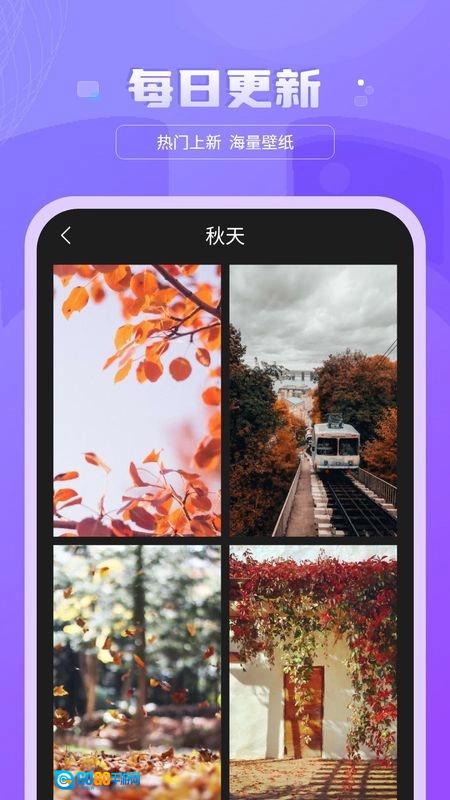 换壁纸最新免费版图3