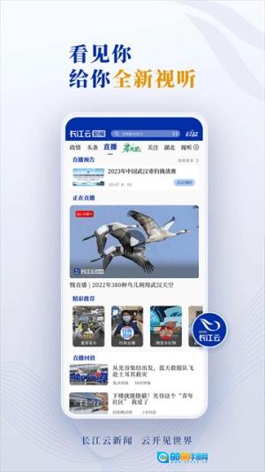 长江云官方最新版图4