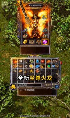 潜龙传奇直装版图3