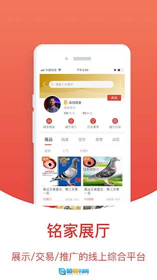 搜鸽天下正版图3