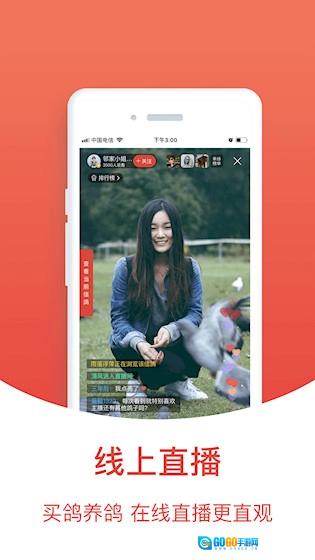 搜鸽天下正版图2