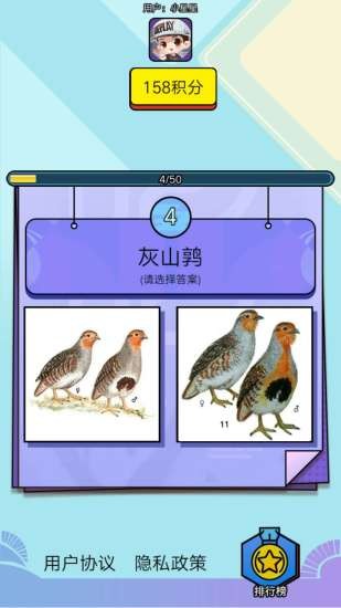 飞鸟乐园手机最新版图1