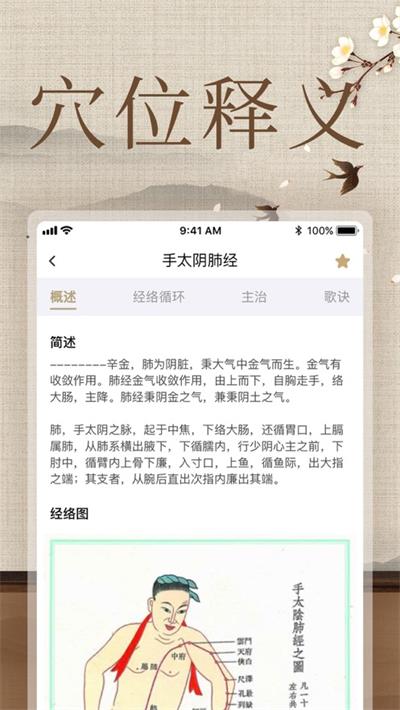 经络穴位图解原版图3
