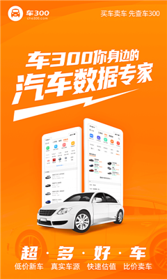 车300二手车手机版图3