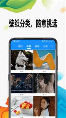 超高清壁纸正版(1)