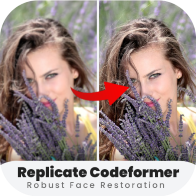 codeformer原版