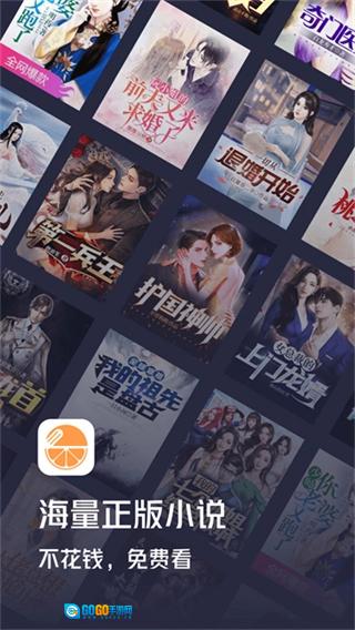 青橙小说官方正版图2