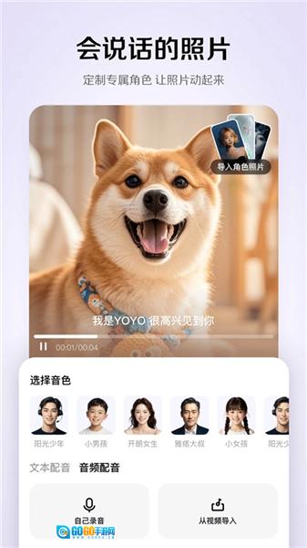 小云雀直装版图2