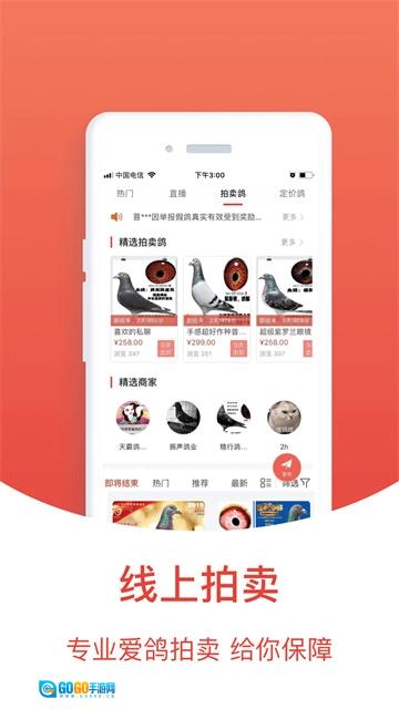 搜鸽天下无广告版图2