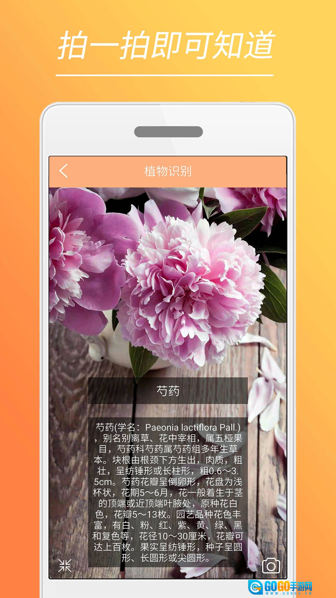 时光美图官方最新版图5