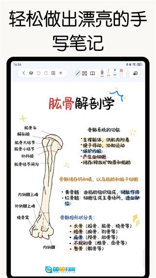 自由笔记最新免费版图2