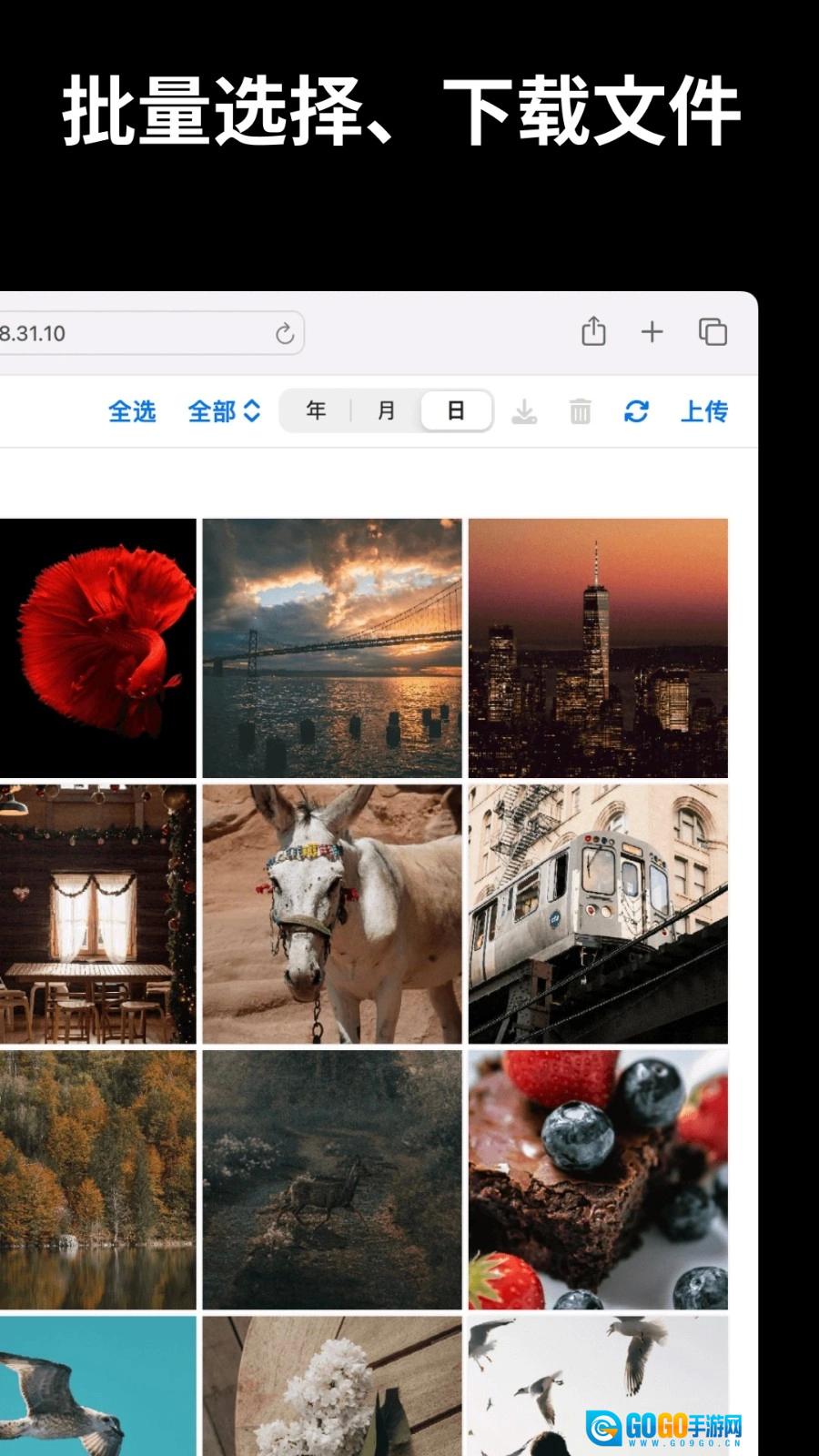文件闪传本无广告版图4