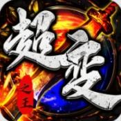 龙之守护超变之王