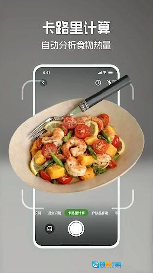 识花君直装版图3