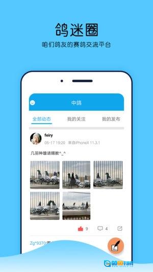 中鸽网通用版图1