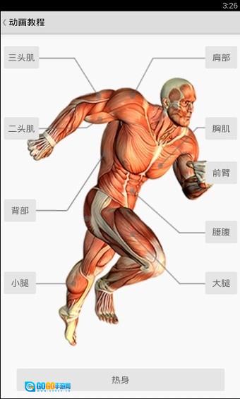 健身宝典绿色版图3