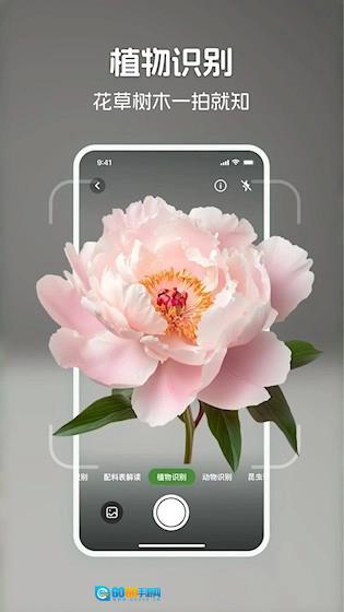识花君直装版图1