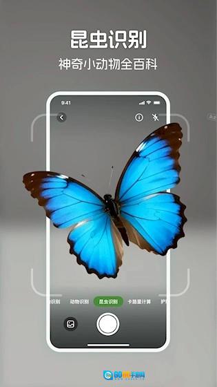 识花君直装版图2